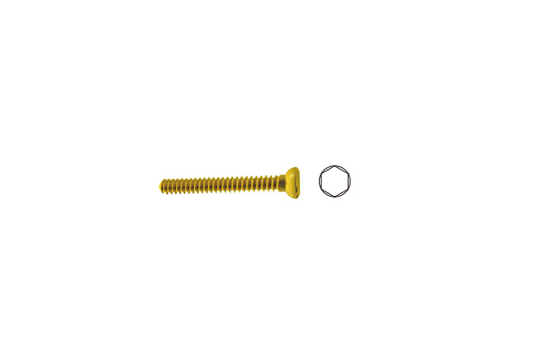 HAQ03 Cortical bone screws 2.7mm