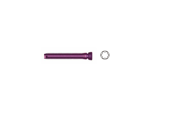 HCK06 Hollow locking screws 6.5mm