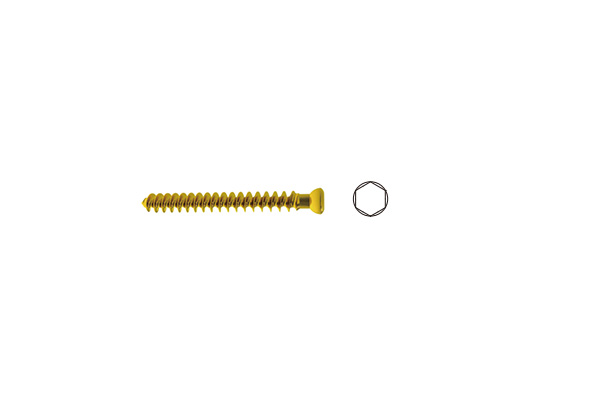 HBQ03 Cancellous bone screws fully threaded 6.5mm